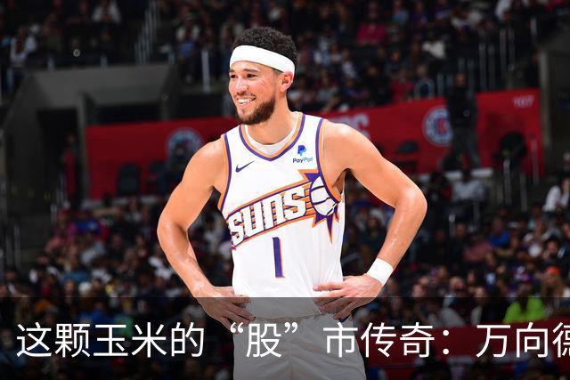 这颗玉米的“股”市传奇：万向德农的涨停魔法